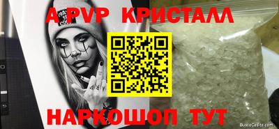 шишки Новокубанск