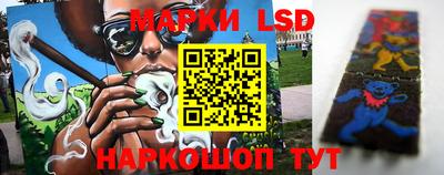трава Новодвинск