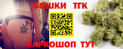 шишки Новокубанск