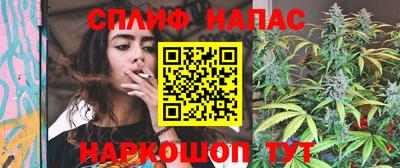 шишки Новокубанск