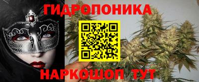трава Новодвинск