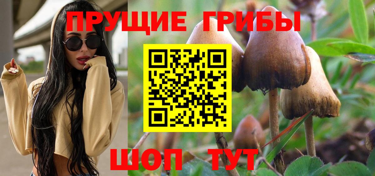 Галлюциногенные грибы Magic Shrooms  Псилоцибиновые грибы Psilocybe  Вход с VPN  Стрежевой 